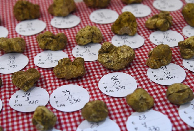 Một khách hàng chi gần 100.000 USD để mua khối nấm cục chưa đến 1 kg