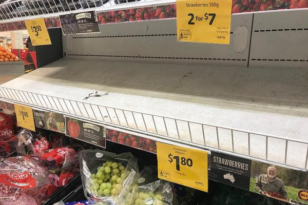 Khủng hoảng dâu tây’ tại Australia từ cây kim của nữ Việt kiều