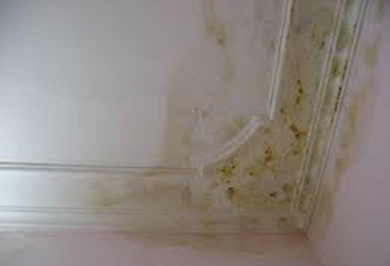 Nếu bàn thờ mà xuất hiện 6 dấu hiệu này thì phải cẩn thận, tai tương sắp đến cửa rồi