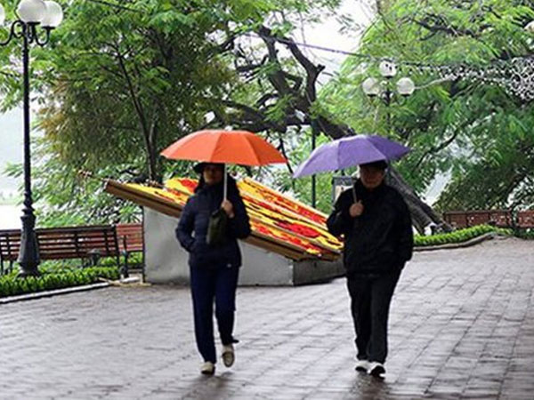 Dự báo thời tiết 14/11: Cả nước có mưa