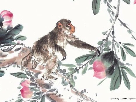 5 con giáp nhận lộc lá ào ào, thu nhập tăng gấp đôi trong nửa cuối tháng 11