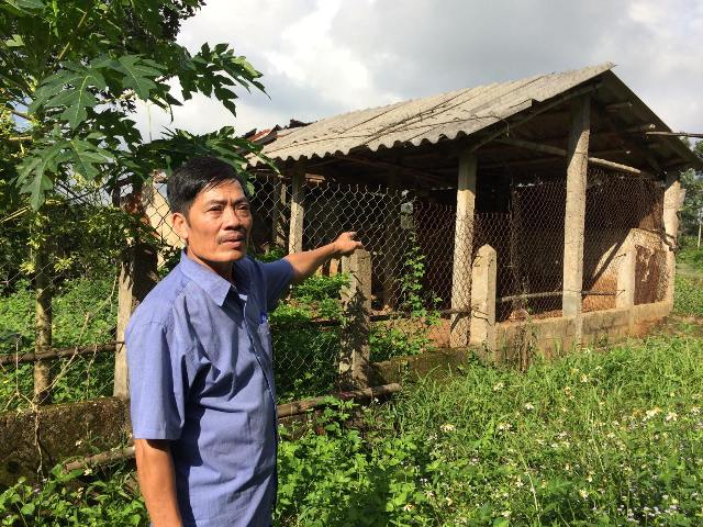 Chịu án oan 10 năm vì mấy con bò, cựu binh đòi bồi thường gần 18 tỷ đồng