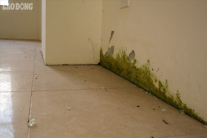 Lãng phí hàng trăm tỉ, khu nhà tái định cư Phú Diễn xây cao, xây đẹp rồi... bỏ hoang?