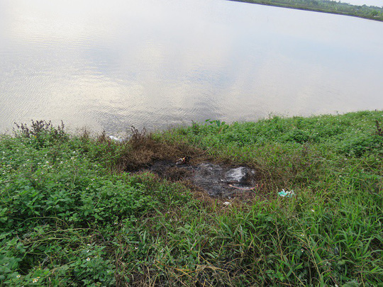 Sự ra tay tàn độc và cái kết đắng của nghi phạm sát hại nữ chủ quán gội đầu nhan sắc