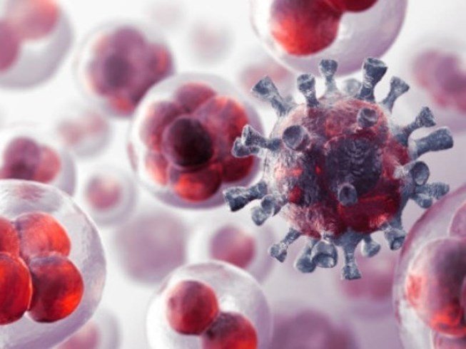 Loại chất độc gây ung thư trong bếp mọi gia đình, bạn có biết để loại bỏ? Loại chất độc gây ung thư trong bếp mọi gia đình, bạn có biết để loại bỏ?