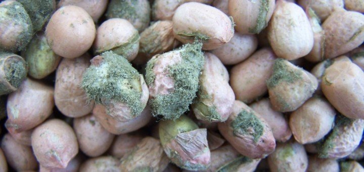 Loại chất độc gây ung thư trong bếp mọi gia đình, bạn có biết để loại bỏ? Loại chất độc gây ung thư trong bếp mọi gia đình, bạn có biết để loại bỏ?