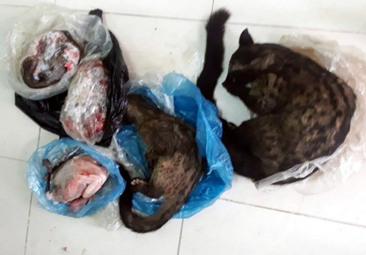 Xử phạt Chủ tịch hội chữ thập đỏ lên Facebook rao bán động vật hoang dã