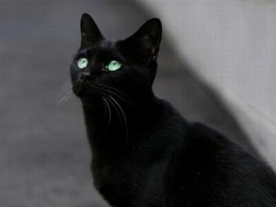 Nếu 1 trong 5 điều này xảy ra thì bạn sắp xui mạt vận, tan cửa nát nhà