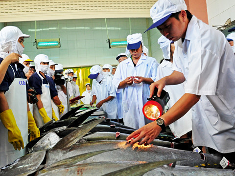 Doanh nghiệp kêu cứu vì container hải sản bị tắc ở cảng suốt nửa tháng