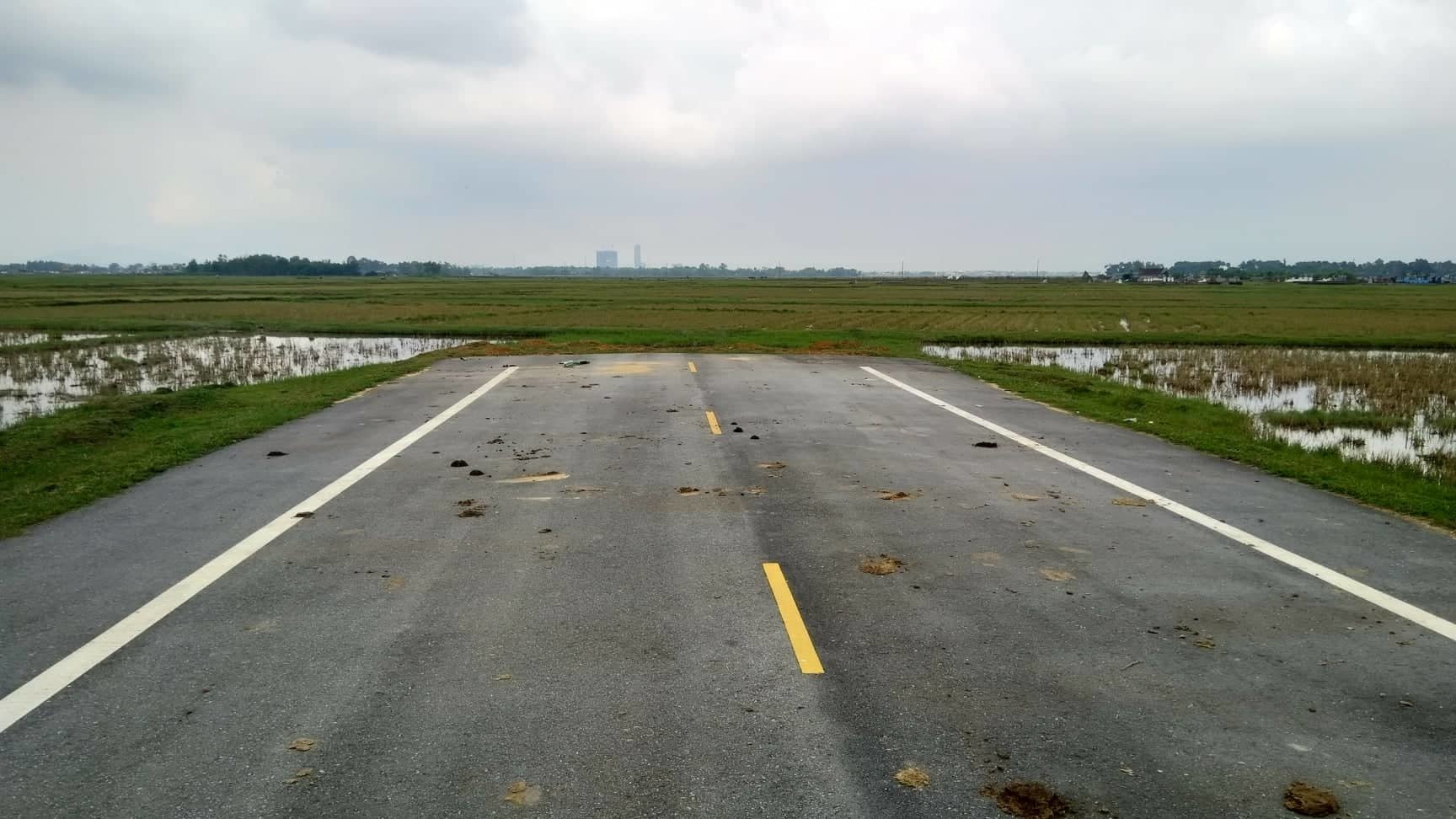 Đường 52 tỷ không bóng người, bò nhởn nhơ đứng, nằm tạo dáng