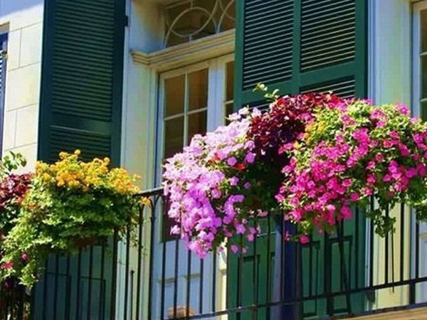 Bi kịch của nam trưởng phòng sau mối tình vụng trộm với sếp nữ