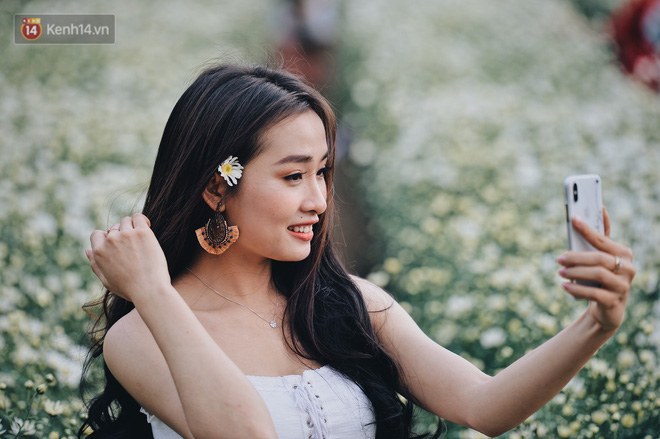 Vườn cúc hoạ mi ở Hà Nội thất thủ cuối tuần: 1 mét vuông có chục nhiếp ảnh gia và mẫu