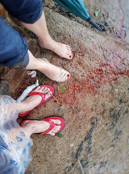 Lốc cuốn qua thắng cảnh quốc gia Gành Đá Đĩa, hàng chục người bị thương