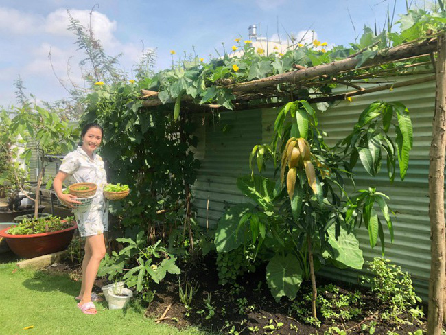 Vườn rau xanh tươi mơn mởn trong biệt thự tiền tỷ do chồng Ốc Thanh Vân trồng tặng 4 mẹ con