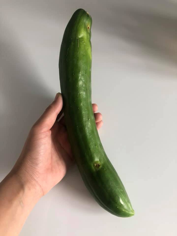 Vườn rau xanh tươi mơn mởn trong biệt thự tiền tỷ do chồng Ốc Thanh Vân trồng tặng 4 mẹ con Vườn rau xanh tươi mơn mởn trong biệt thự tiền tỷ do chồng Ốc Thanh Vân trồng tặng 4 mẹ con