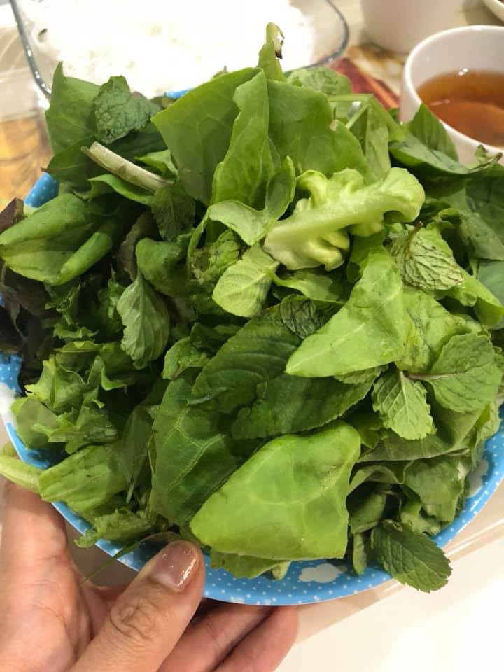 Vườn rau xanh tươi mơn mởn trong biệt thự tiền tỷ do chồng Ốc Thanh Vân trồng tặng 4 mẹ con Vườn rau xanh tươi mơn mởn trong biệt thự tiền tỷ do chồng Ốc Thanh Vân trồng tặng 4 mẹ con