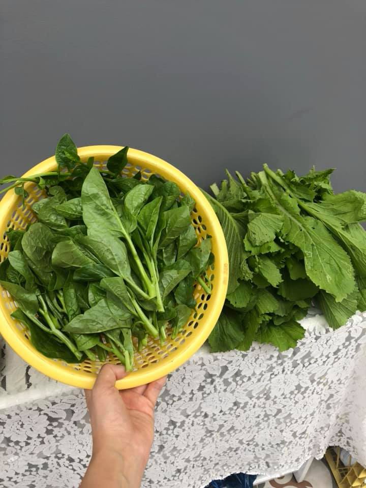 Vườn rau xanh tươi mơn mởn trong biệt thự tiền tỷ do chồng Ốc Thanh Vân trồng tặng 4 mẹ con