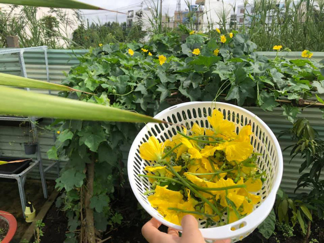 Vườn rau xanh tươi mơn mởn trong biệt thự tiền tỷ do chồng Ốc Thanh Vân trồng tặng 4 mẹ con