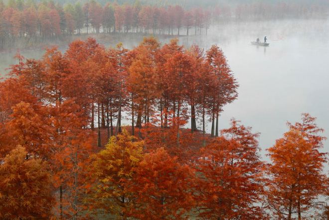 7 ngày qua ảnh: Các hoạt náo viên nóng bỏng khuấy đảo giữa 2 hiệp đấu bóng bầu dục