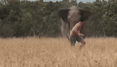 Những vụ trả thù kinh hoàng và thảm khốc nhất mà động vật hoang dã dành cho con người