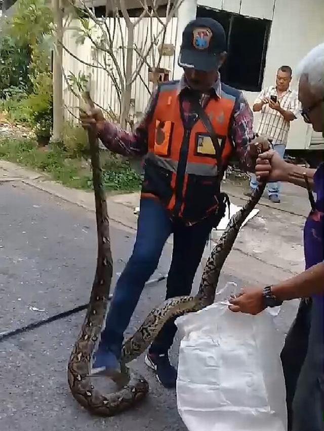 Nghe tiếng rít ghê rợn bên trong tường, chủ nhà phá ra mới phát hiện điều khủng khiếp Nghe tiếng rít ghê rợn bên trong tường, chủ nhà phá ra mới phát hiện điều khủng khiếp