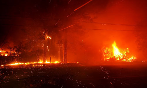 Tài xế đưa hàng chục học sinh vượt qua biển lửa trong cháy rừng ở California