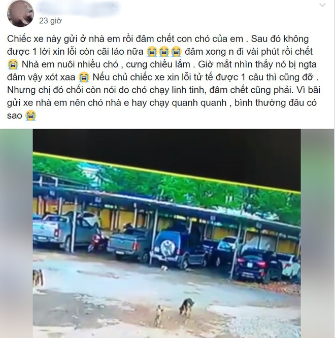 Chú chó bị cán chết ở bãi đỗ xe, chủ nhân đăng đàn tố cáo gây tranh cãi lớn trên MXH