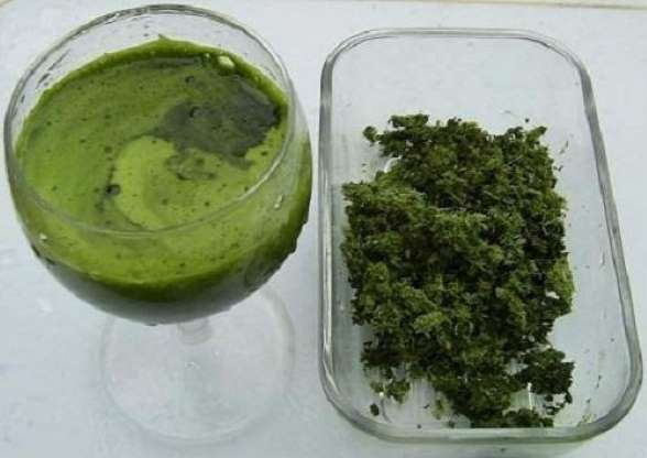 Mua một nắm lá tía tô về làm theo cách này là bao nhiêu nám, tàn nhang bay sạch da trắng bóc cực nhanh