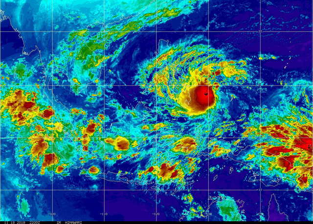 Biển Đông sắp đón bão số 9, Nam Trung Bộ đối diện mưa to