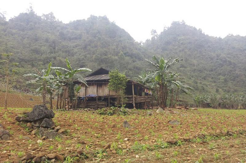 4 gia đình con đàn cháu đống đông nhất Việt Nam, riêng vua đẻ có tới 2 vợ, 21 con