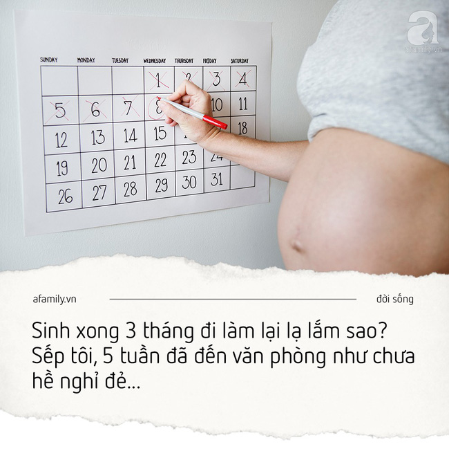 Chưa nghỉ sinh tôi đã sợ bị nghỉ việc vì người khác thế chỗ mình - nhật ký giấu kín của bà bầu công sở Chưa nghỉ sinh tôi đã sợ bị nghỉ việc vì người khác thế chỗ mình - nhật ký giấu kín của bà bầu công sở