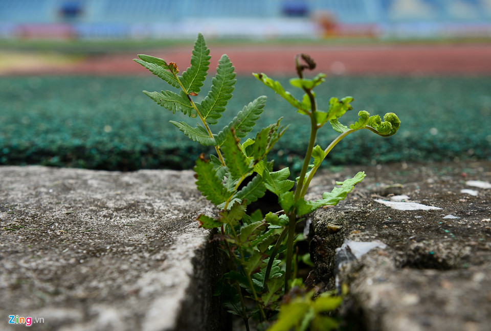 Sân Hàng Đẫy xuống cấp trước trận đấu lớn cuối cùng