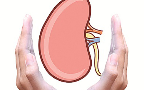 Nhân sâm mùa đông giá vài ngàn/củ, tranh thủ ăn vì 10 lợi ích không ngờ này