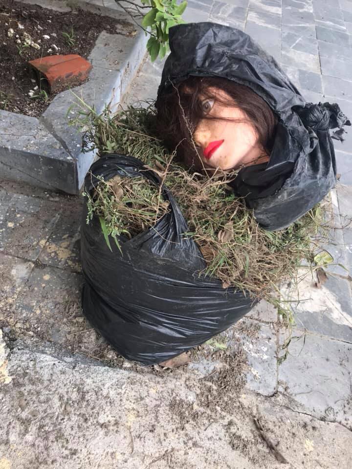 Vừa mở cửa đã hết hồn vì ánh mắt đầu đông hàng xóm tặng trong túi rác