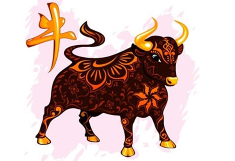 Kể cả sinh ra nghèo khó, túng thiếu thì khi về già 3 con giáp này chắc chắn sẽ lên đời, ít ai bì nổi