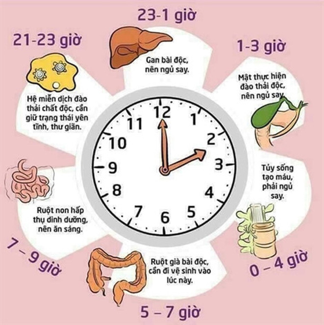 4 bí quyết ngủ đúng của Danh y Hoa Đà: Làm được 1 sẽ khỏe mạnh, làm cả 4 điều thì sống lâu