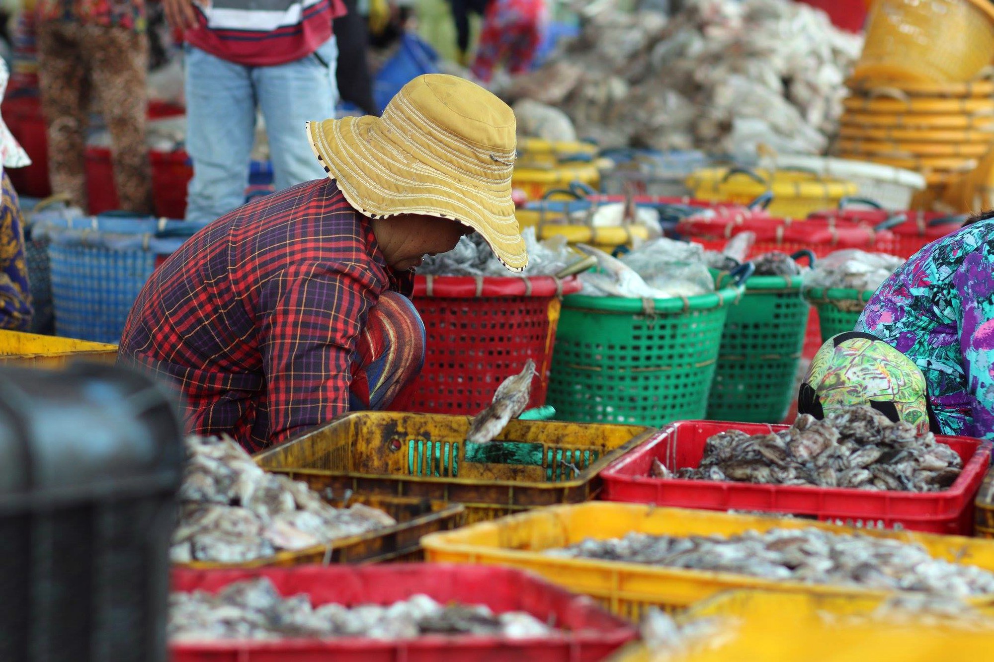 Du khách bất chấp cảnh báo, liều lĩnh tắm biển Vũng Tàu trước giờ bão nổi