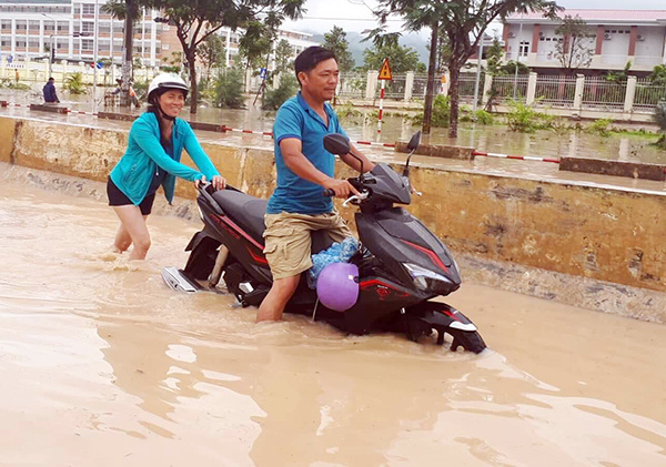 Bão Usagi quét qua Vũng Tàu, nhiều cây bật gốc