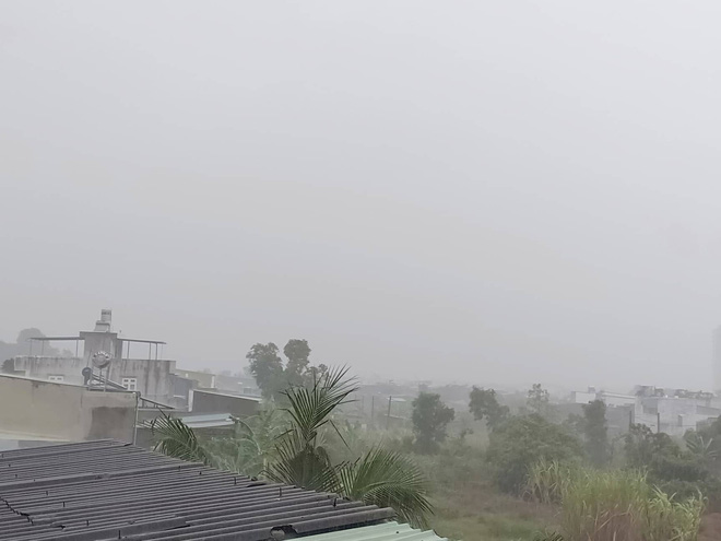 Bão số 9 đang tiến sát đất liền, Vũng Tàu gió bắt đầu gào rít dữ dội