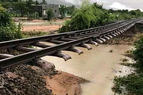 Bão Usagi quét qua Vũng Tàu, nhiều cây bật gốc