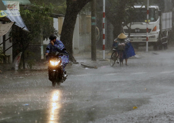 Bão Usagi quét qua Vũng Tàu, nhiều cây bật gốc