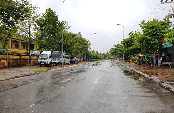 Bão Usagi quét qua Vũng Tàu, nhiều cây bật gốc