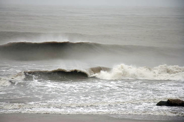 Bão Usagi quét qua Vũng Tàu, nhiều cây bật gốc