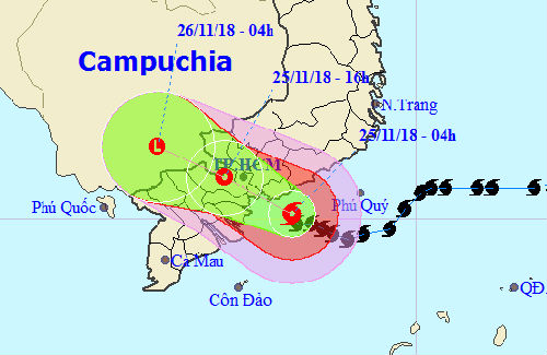 Bão Usagi quét qua Vũng Tàu, nhiều cây bật gốc