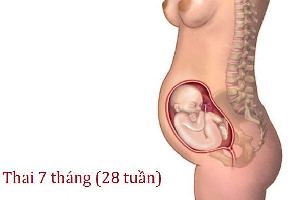 Mẹ 9x xinh đẹp khoe ảnh bụng bầu 7 tháng vẫn phẳng lì đến không thể tin nổi