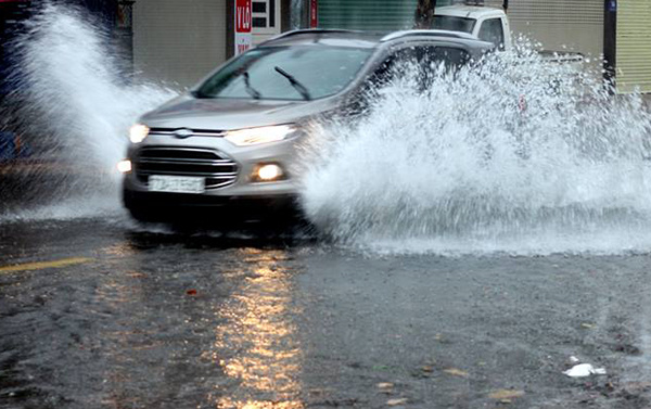 Bão Usagi quét qua Vũng Tàu, nhiều cây bật gốc