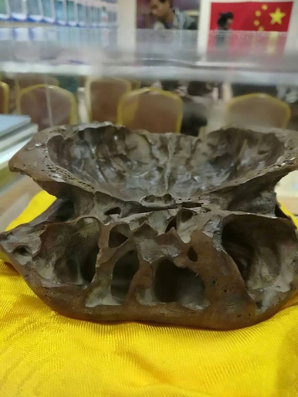 Người đàn ông tuyên bố có bằng chứng về hộp sọ người ngoài hành tinh