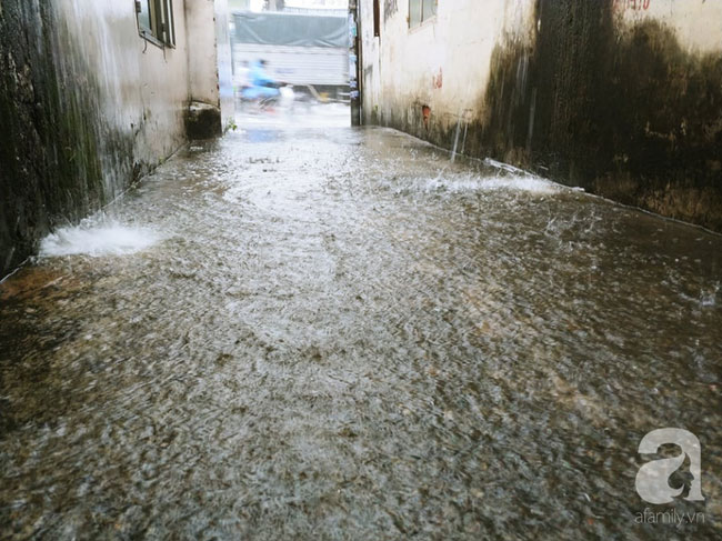 Bão số 9 suy yếu nhưng vẫn hoành hành Sài Gòn gây giông lốc, người miền Tây mòn mỏi trú bão chưa dám về nhà