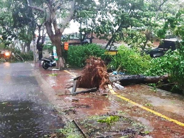 Bão số 9 suy yếu nhưng vẫn hoành hành Sài Gòn gây giông lốc, người miền Tây mòn mỏi trú bão chưa dám về nhà