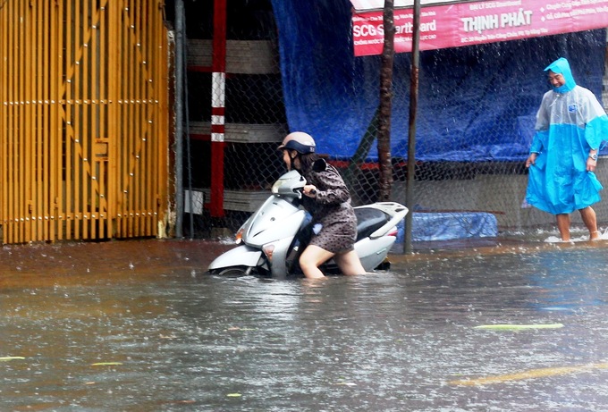 Hàng loạt cây xanh bị quật ngã, nhà tốc mái khi bão Usagi đổ bộ